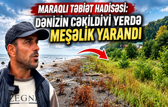 Dənizin çəkildiyi yerdə ağaclar bitir - Lənkərandan heyrətamiz mənzərə
                                                