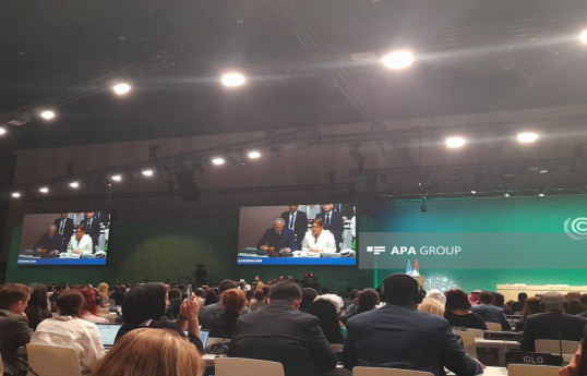 کنفرانس سازمان ملل متحد در مورد تغییرات اقلیمی COP29 سال آینده در آذربایجان برگزار می شود