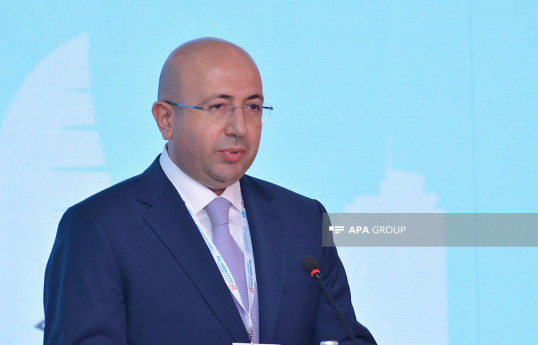 رئیس کمیته: آذربایجان در مسائل بعد از مناقشه تجربه های زیادی کسب کرد