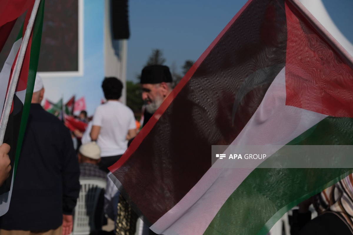 «راهپیمایی بزرگ فلسطین» در استانبول - عکس 