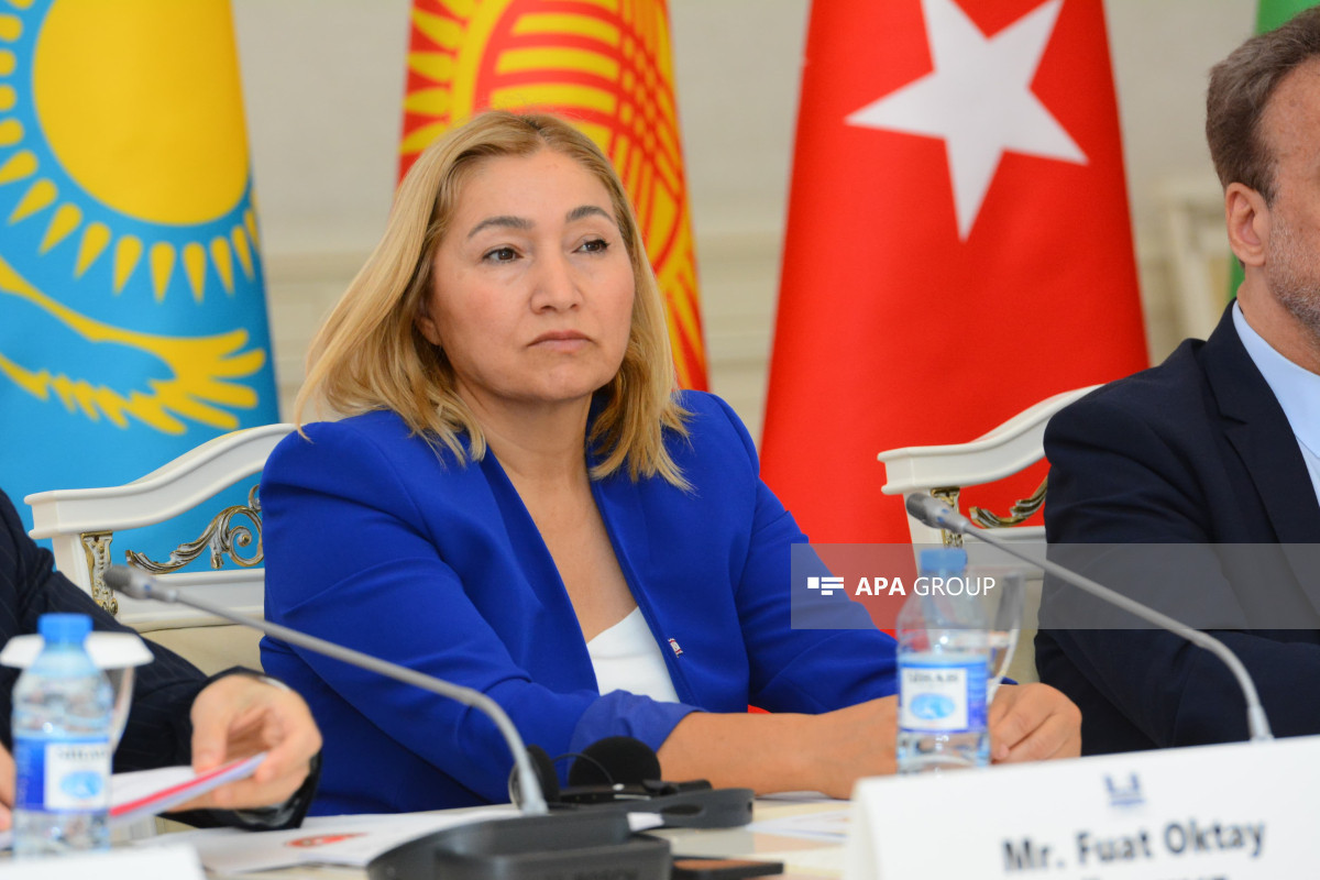نشست روسای کمیته های روابط خارجی مجالس کشورهای ترک در باکو برگزار شد - عکس 