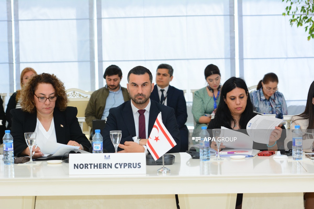 نشست روسای کمیته های روابط خارجی مجالس کشورهای ترک در باکو برگزار شد - عکس 