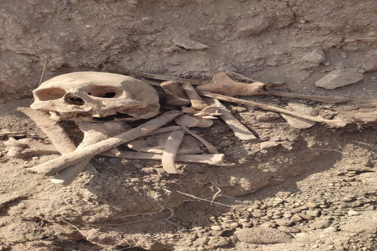 بقایای انسان در روستای آزاد شده مالی‌بیگلی کشف شد - عکس 