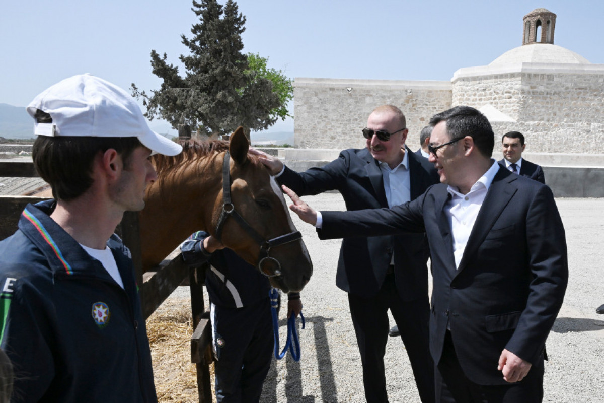 رئیس جمهور الهام علی اف یک راس اسب قره باغ را به صادر جپاروف هدیه کرد