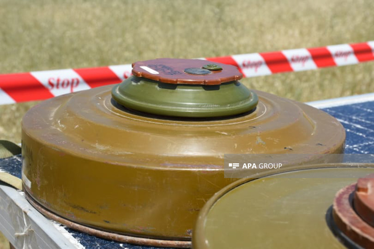 وزارت دفاع: سربازان ارمنی مناطق جنگلی اطراف خوجالی و شوشا را مین گذاری کردند