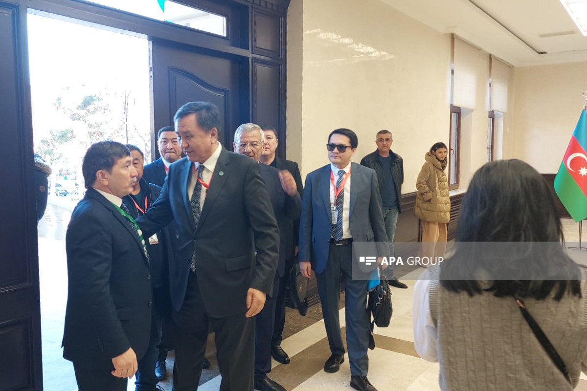 نظارت دبیر کل سازمان کشورهای تورک بر انتخابات ریاست جمهوری آذربایجان