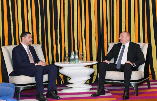 رئیس جمهور الهام علی اف با رئیس موقت سازمان امنیت و همکاری اروپا در مونیخ دیدار کرد