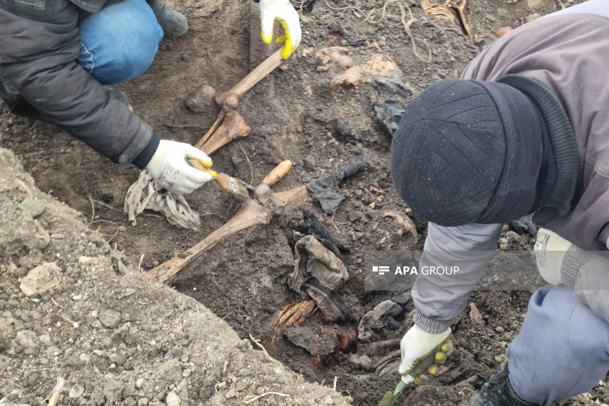 کشف گور دسته جمعی در خوجالی