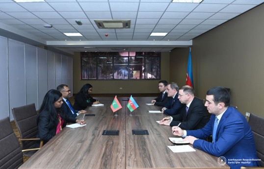دیدار جیحون بایراموف با وزیر امور خارجه مالدیو