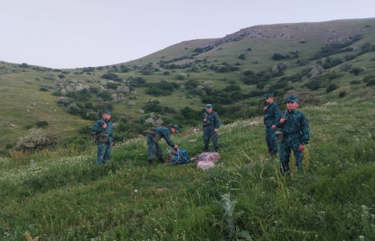 از انتقال ۲۸ کیلوگرم مواد مخدر از ایران به آذربایجان جلوگیری شد - عکس 