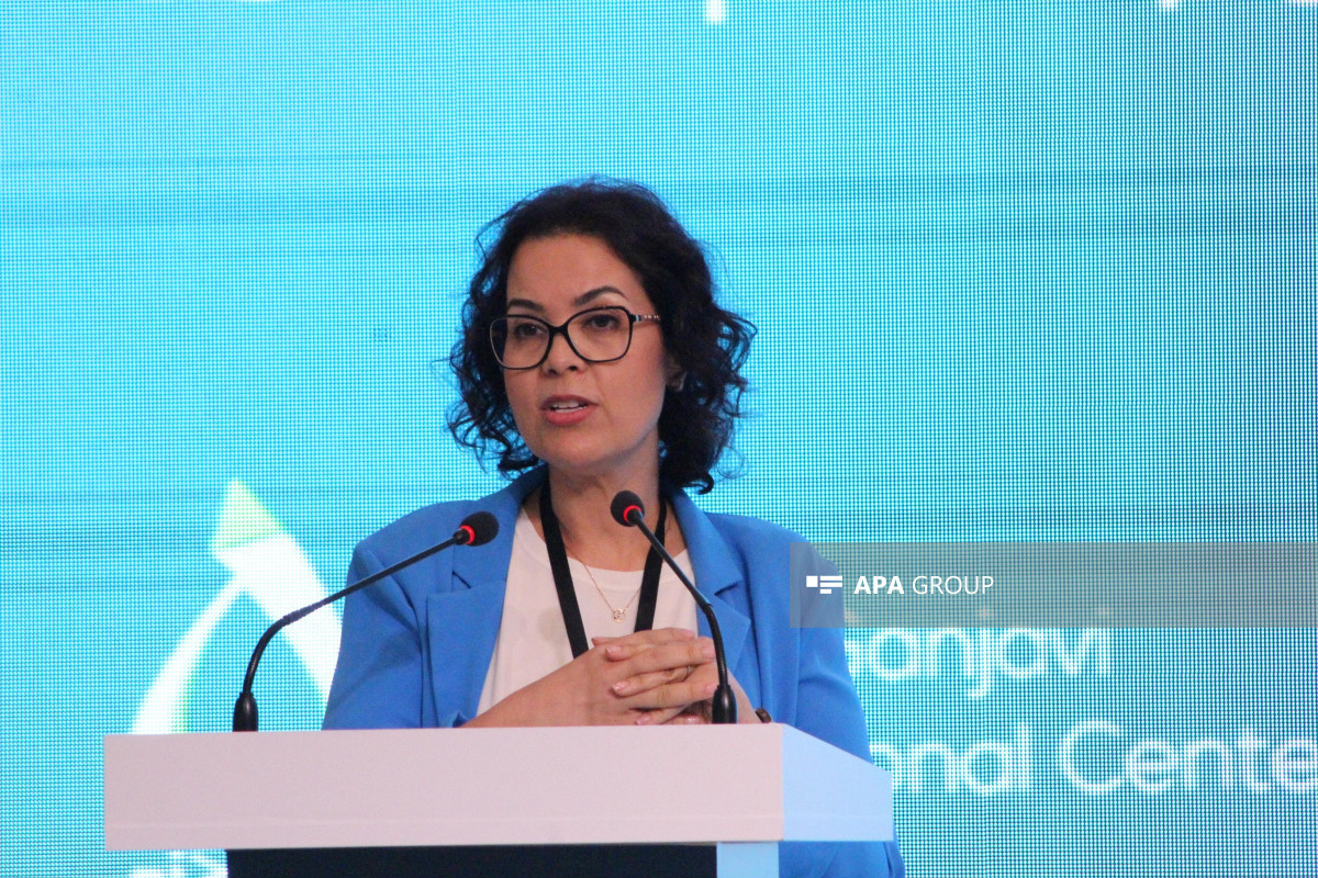 نشستی با عنوان «راه به سوی COP29: آینده پایدار» در باکو برگزار می شود