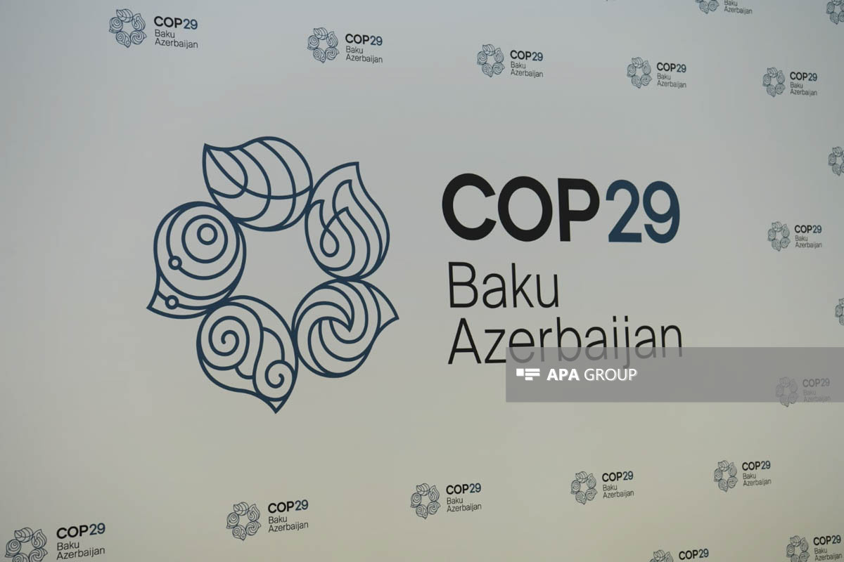 نشستی با عنوان «راه به سوی COP29: آینده پایدار» در باکو برگزار می شود