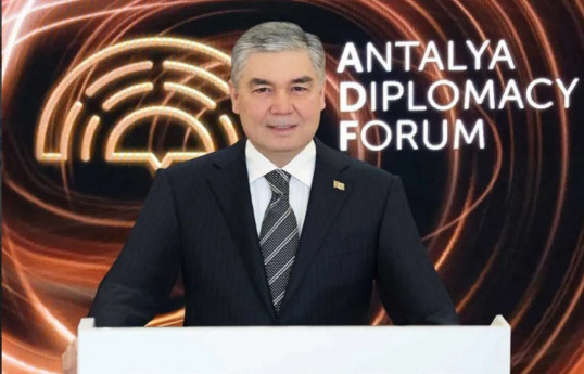 ترکمنستان می تواند در سال جاری عضو رسمی سازمان کشورهای تورک شود