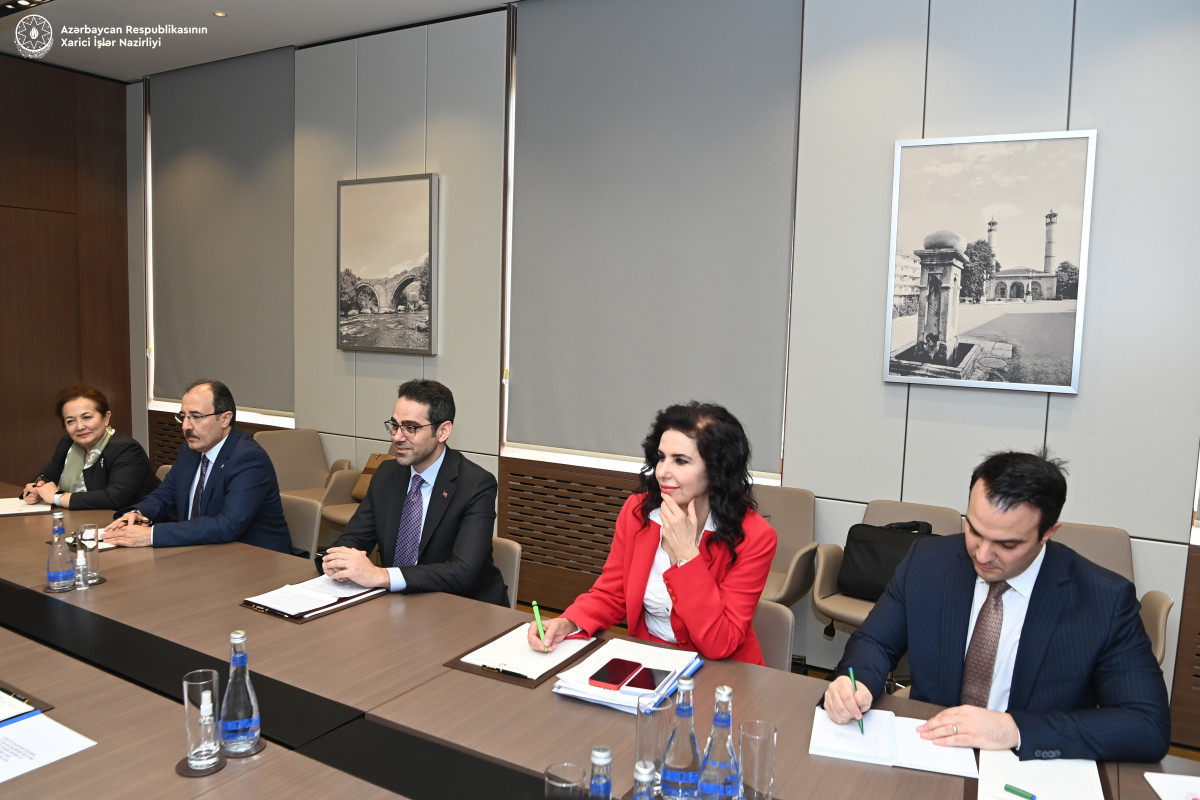 جیحون بایراموف با معاون وزیر امور خارجه ترکیه دیدار کرد