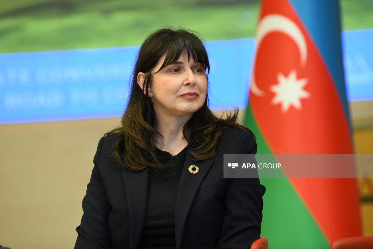 نماینده سازمان ملل: کوپ۲۹ یک پلت فرم عالی خواهد بود