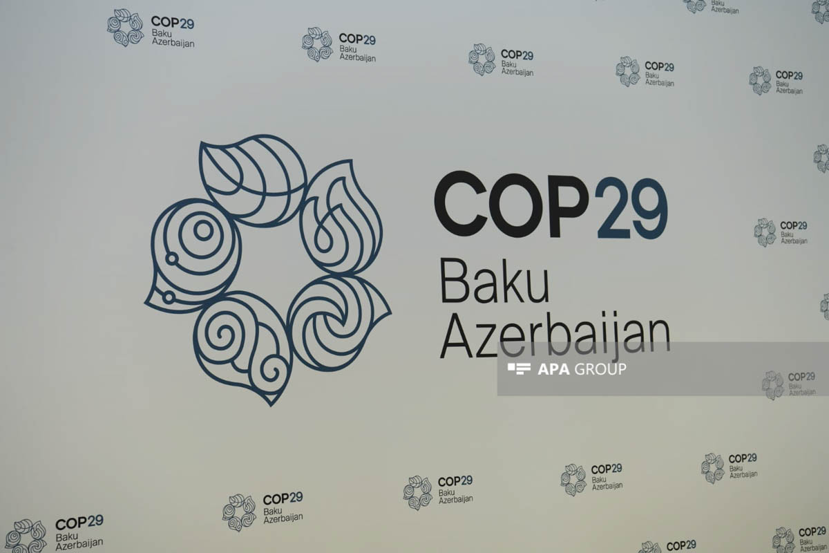 یک کارگروه ویژه در سازمان ملل متحد برای حمایت از آذربایجان در روند کوپ۲۹ ایجاد شد