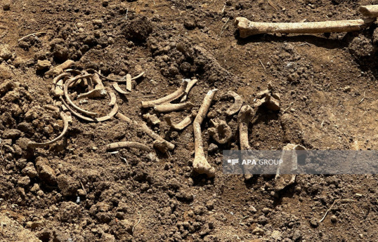 کشف استخوان‌های انسان در مالی‌بیگلی