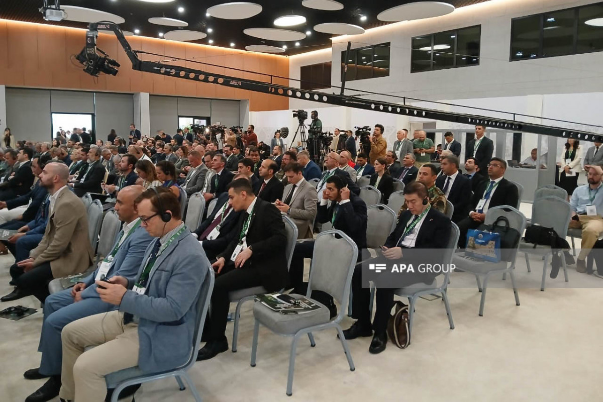 سومین کنفرانس بین المللی مین زدایی بشردوستانه در زنگیلان برگزار می شود - عکس 