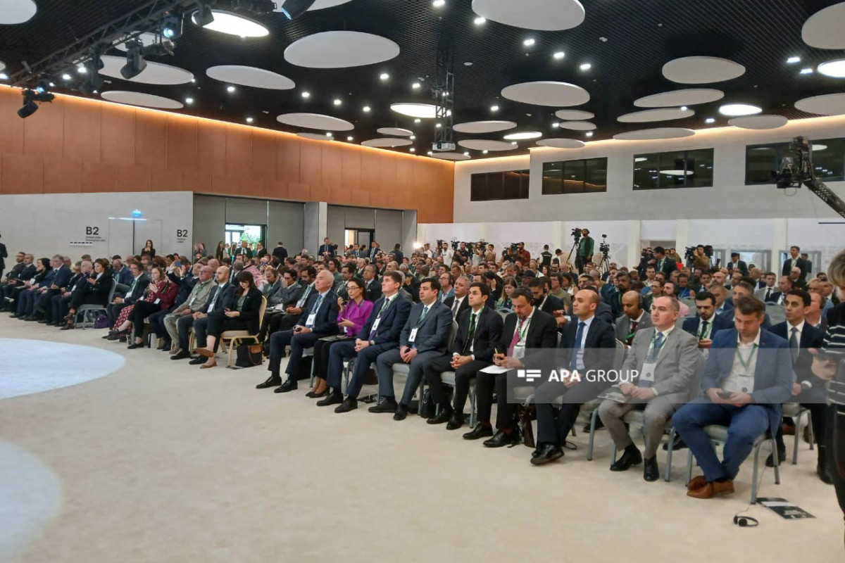 سومین کنفرانس بین المللی مین زدایی بشردوستانه در زنگیلان برگزار می شود - عکس 