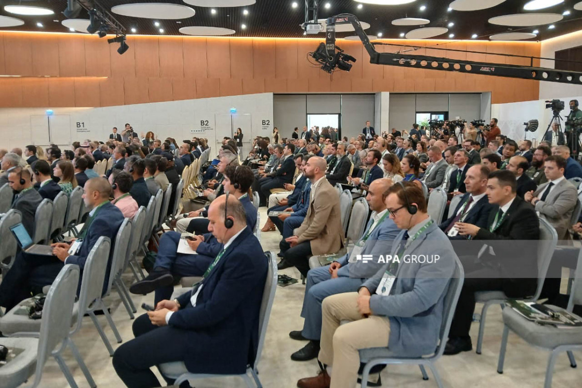 سومین کنفرانس بین المللی مین زدایی بشردوستانه در زنگیلان برگزار می شود - عکس 