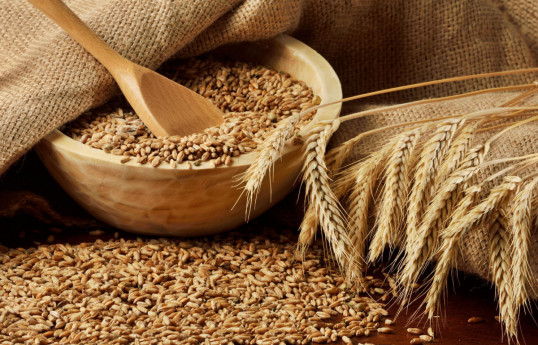 آذربایجان در سه ماهه اول سال نزدیک به ۳۰۰ هزار تن گندم وارد کرده است