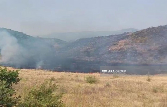 آتش‌سوزی در آغدره و قوبادلی خاموش شد