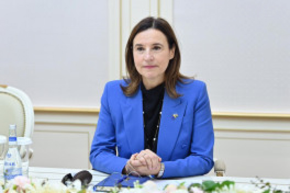 سفیر اتحادیه اروپا: دستاوردهای صلح میان آذربایجان و ارمنستان یک رویداد تاریخی است