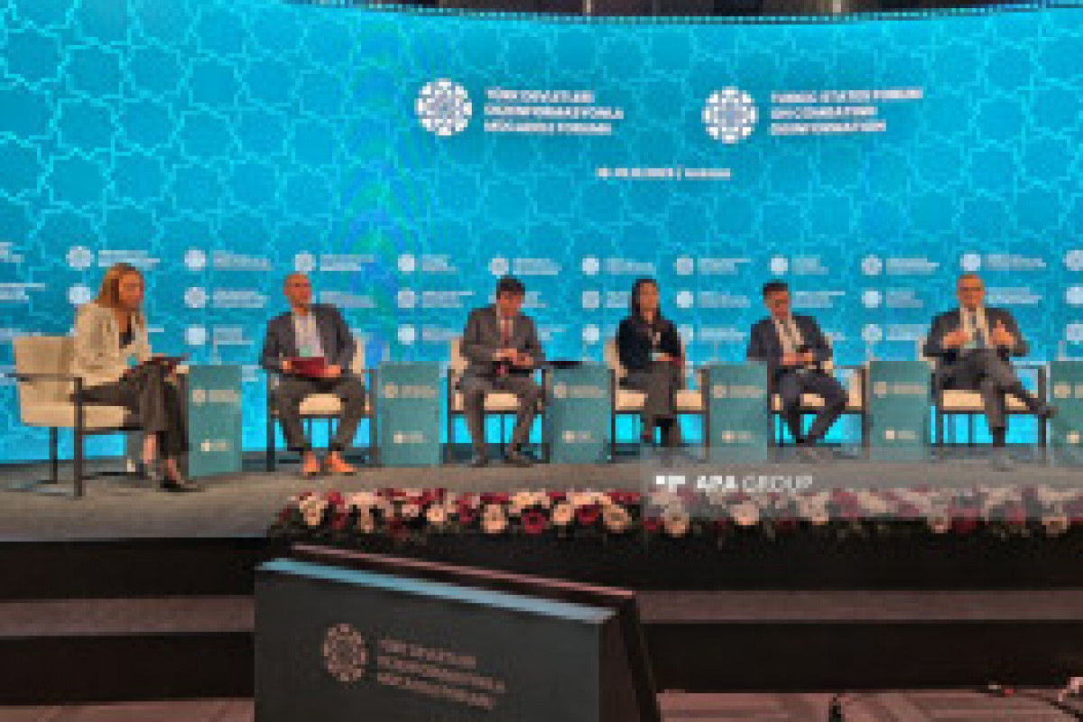 رئیس دپارتمان آپا: انتشار اطلاعات نادرست درباره آذربایجان در برخی رسانه ...