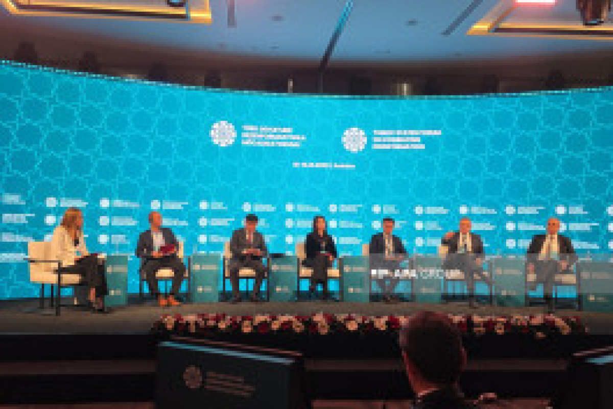 رئیس دپارتمان آپا: انتشار اطلاعات نادرست درباره آذربایجان در برخی رسانه‌های ترکیه نگران‌کننده است