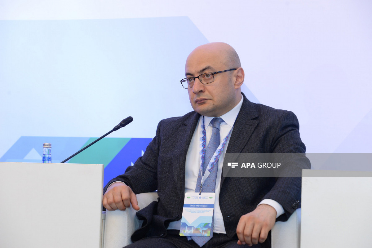 باکو: اجلاس سازمان همکاری اقتصادی اهمیت تاریخی دارد