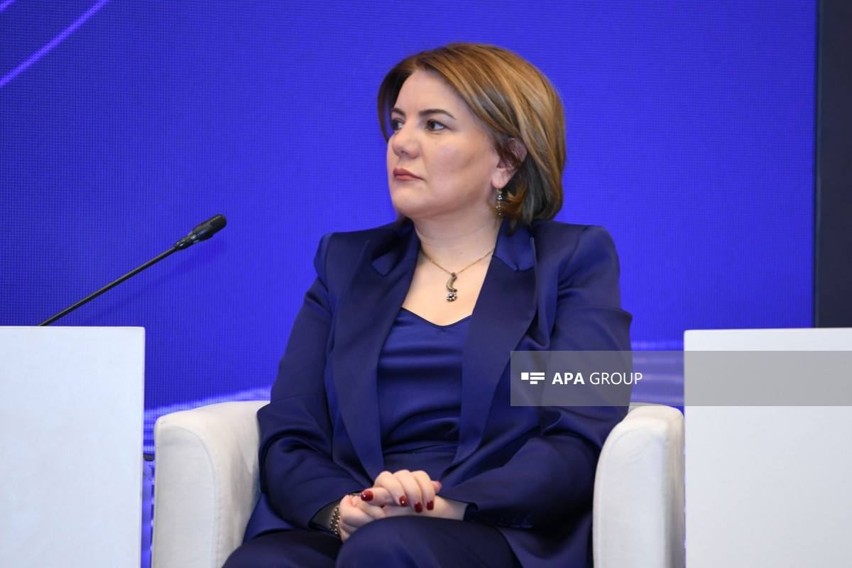 وصاله ماهرقیزی: نیاز به ایجاد بسترهای رسانه ای مشترک بین دولت های تورک و اسلامی وجود دارد