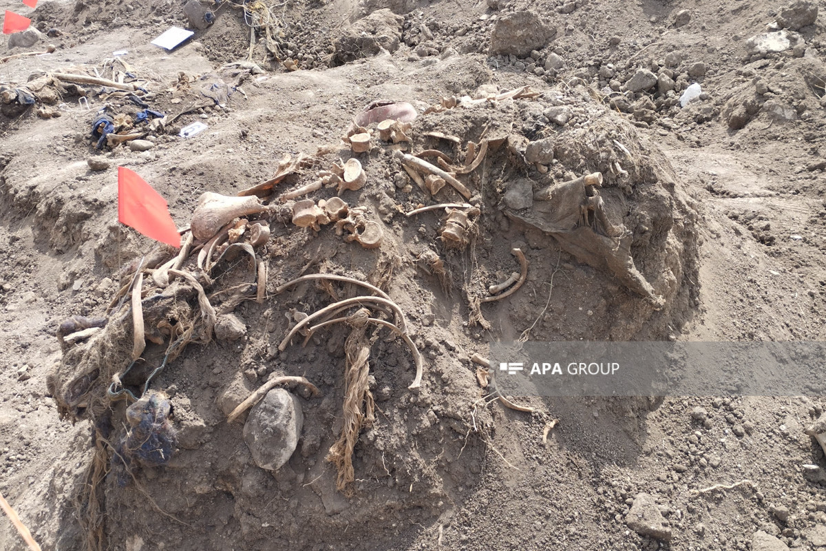 کشف گورهای دسته جمعی در شوشا و خوجالی - عکس 