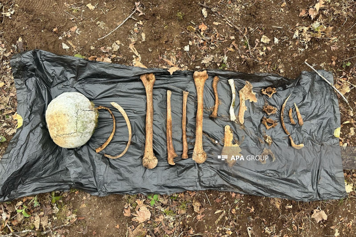 کشف بقایای اسکلت انسان در روستای سیرخاوند؛ تحقیقات در حال انجام است