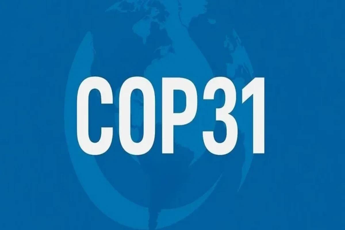 ماموریت‌های مهم مربوط به COP31 به آذربایجان واگذار شد