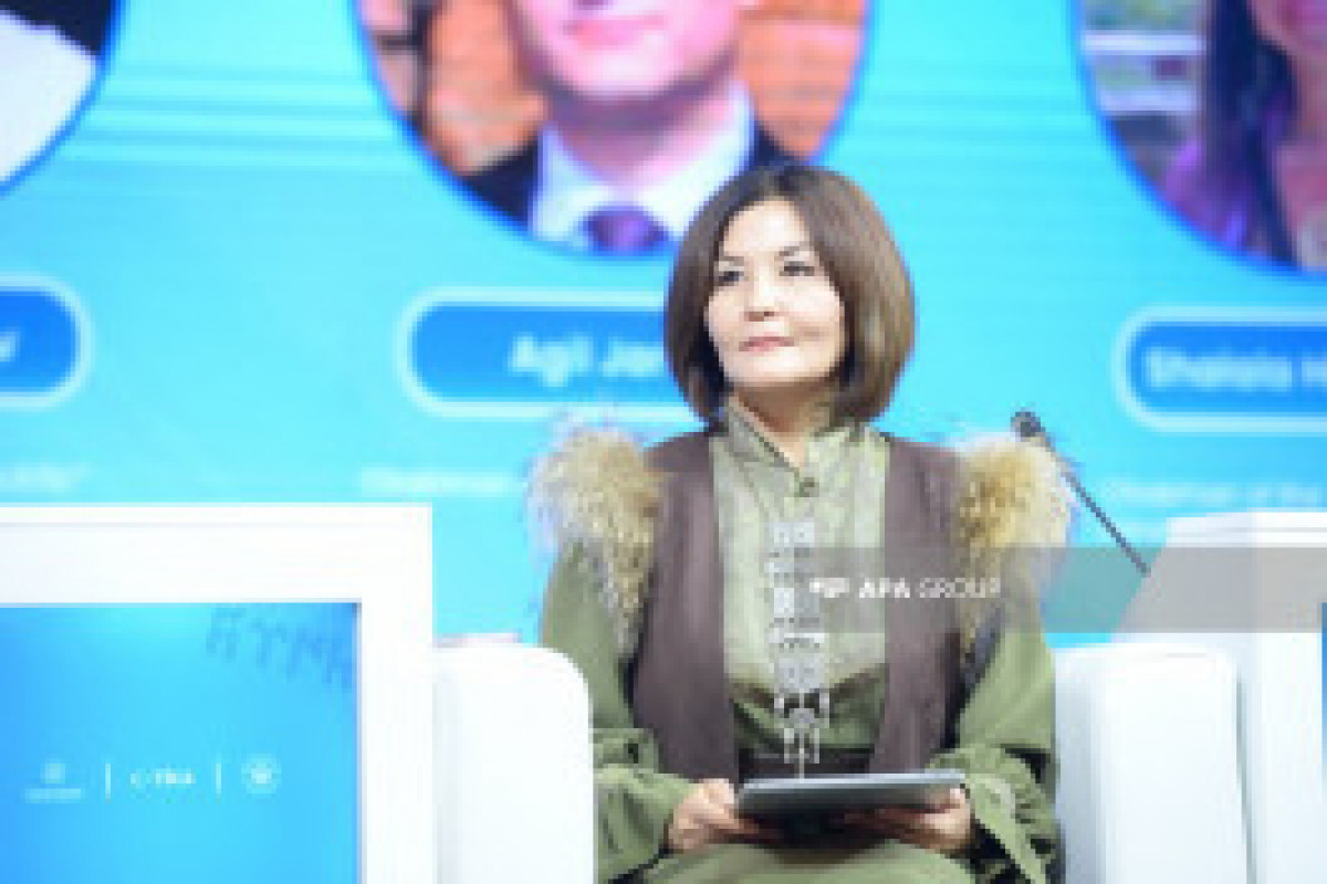 برگزاری نخستین فوروم همکاری سازمان‌های غیردولتی آذربایجان و قزاقستان - تصاویر 