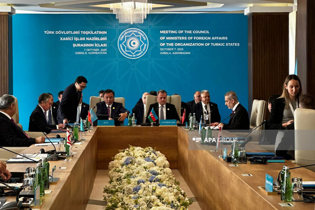 اجلاس شورای وزیران امور خارجه سازمان کشورهای تورک برگزار شد - تصاویر 