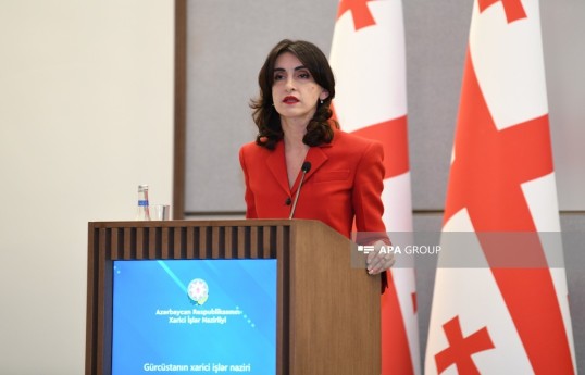 وزیر امور خارجه گرجستان: روابط با آذربایجان بسیار قوی است