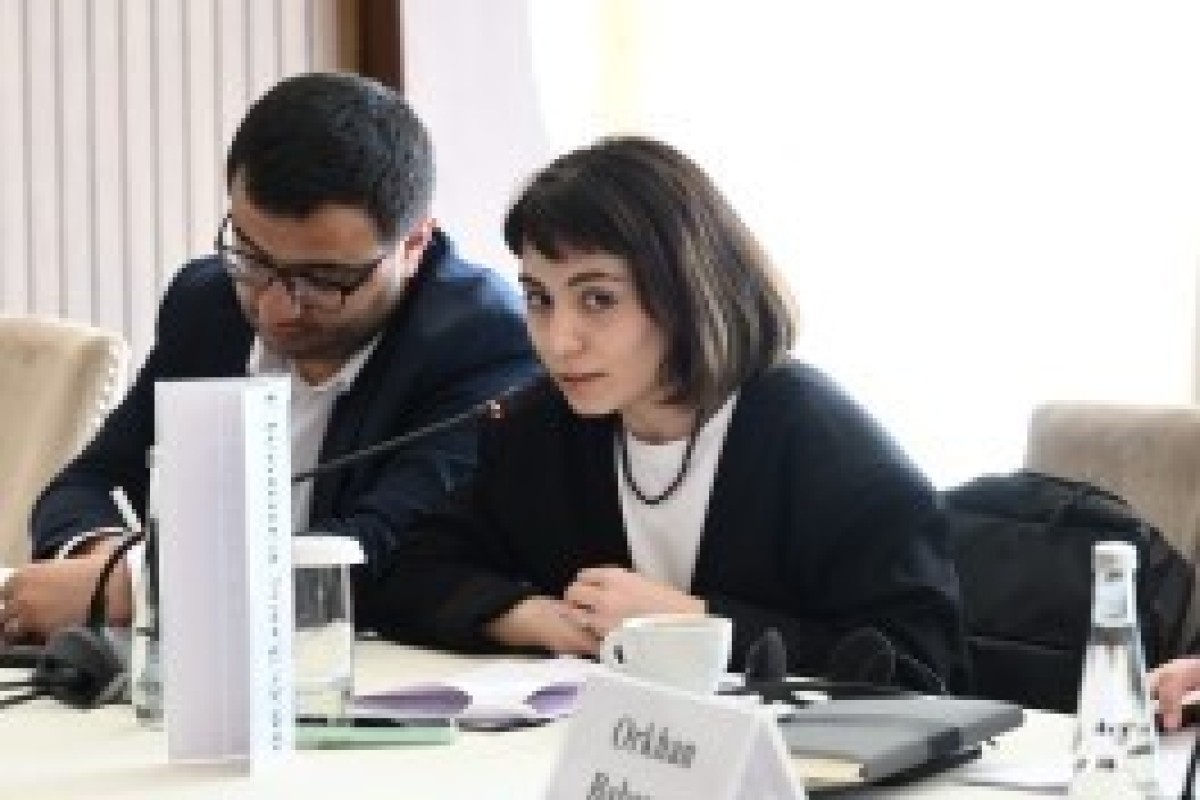 دیدار حکمت حاجی‌اف با نمایندگان ارمنستان در قبله در چارچوب ابتکار «پل صلح» -تصاویر -ویدئو