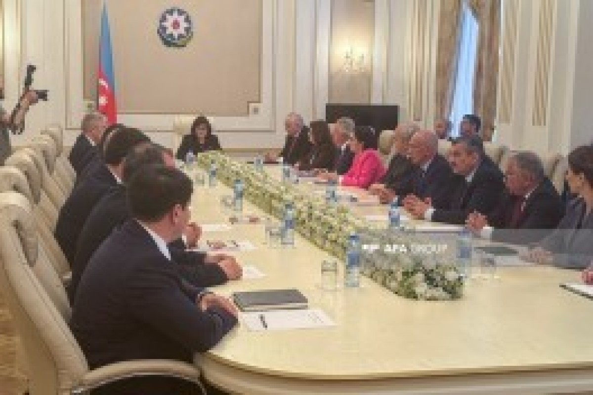 انتخاب مجدد مظاهر پناه‌اف به‌عنوان رئیس کمیسیون مرکزی انتخابات