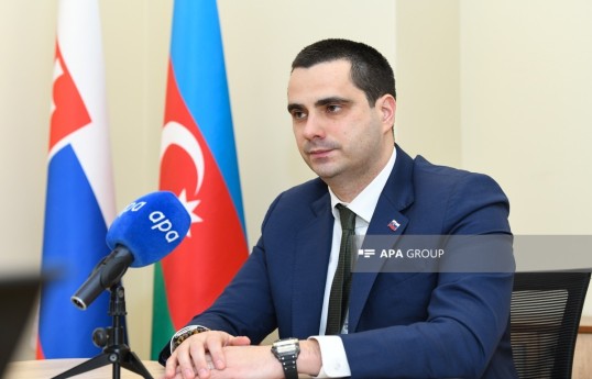 الچین قاسم اف ، سفیر اسلواکی: براتیسلاوا همکاری با آذربایجان در صنعت دفاعی را به‌عنوان یک مسیر راهبردی می‌بیند -  مصاحبه 
