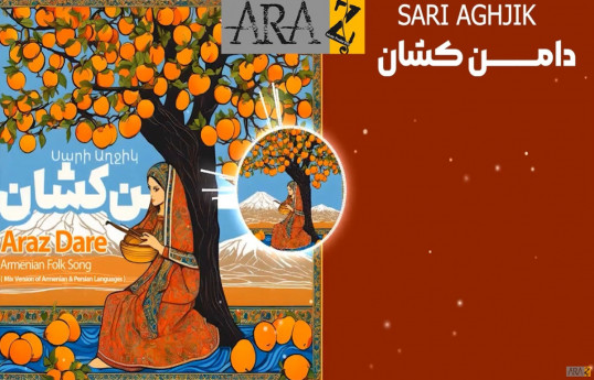 واکنش آژانس به معرفی «ساری گلین» به‌عنوان ترانه ارمنی در ایران