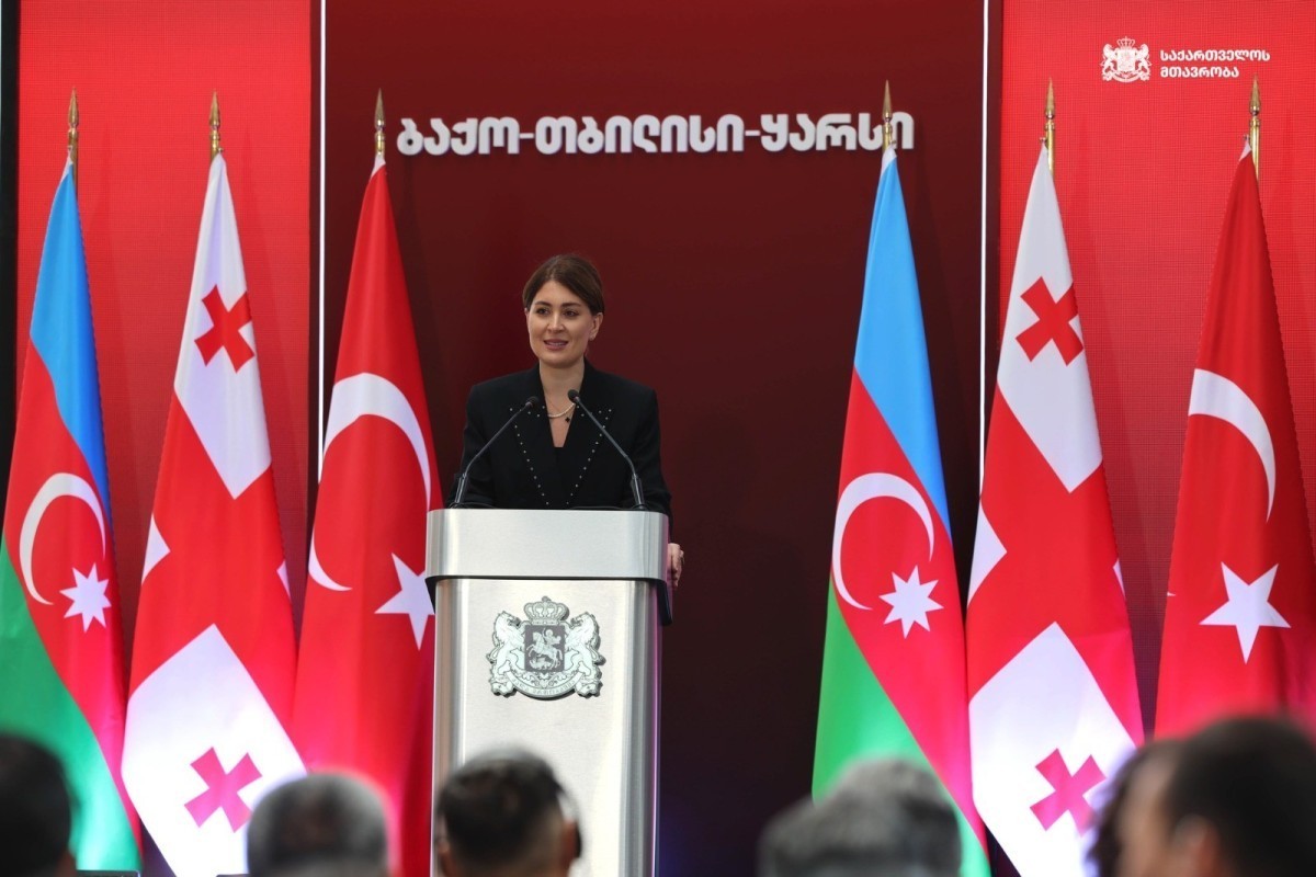 معاون وزیر گرجستان: راه‌آهن باکو–تفلیس–قارص پیوندهای اروپا و آسیا را بیش از پیش تقویت خواهد کرد
