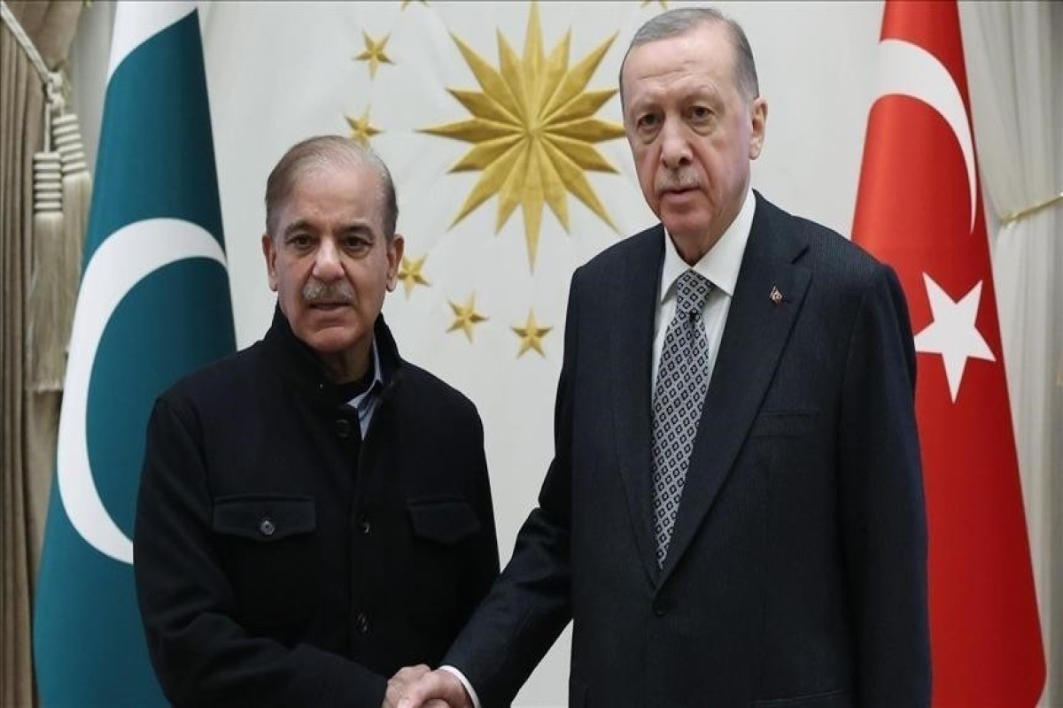 اردوغان و شهباز شریف به پاشینیان تبریک گفتند