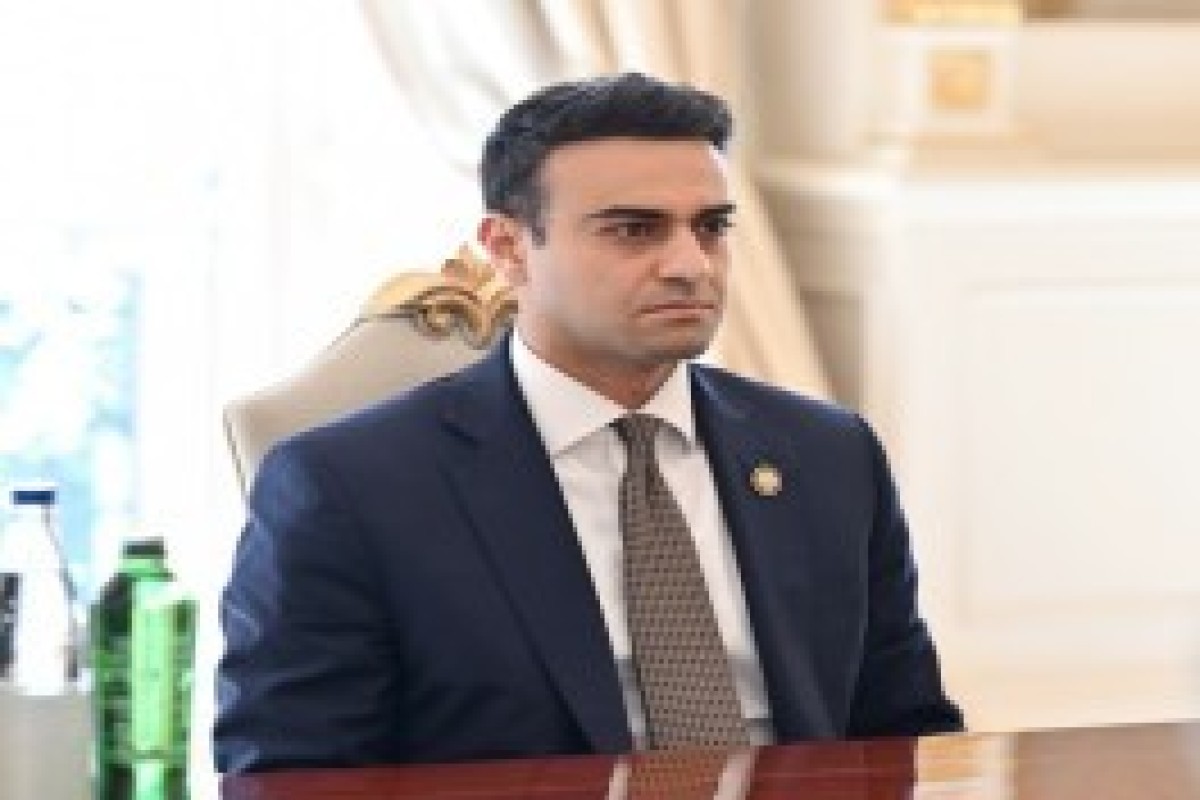 الهام علی‌اف عضو مجلس نمایندگان آمریکا را به حضور پذیرفت