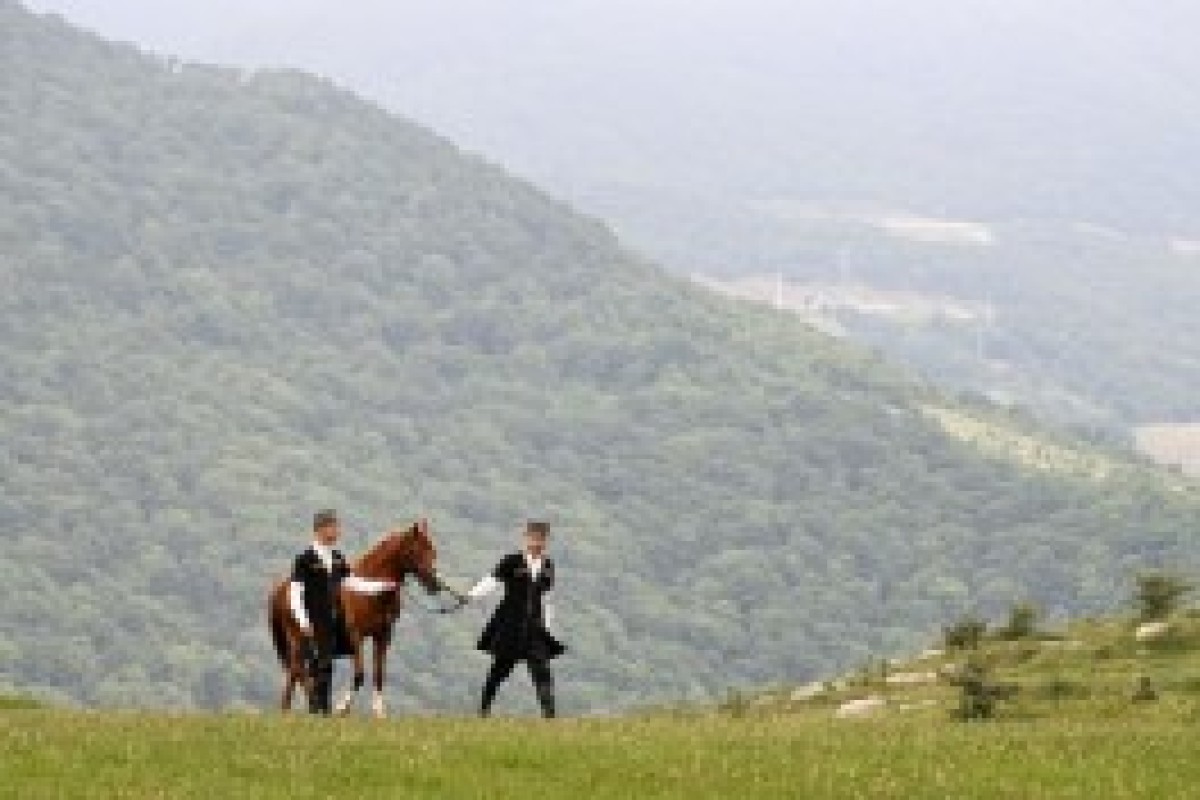 اسب قره‌باغ به رئیس‌جمهور ترکمنستان اهدا شد