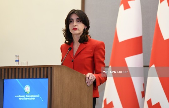 وزیر امور خارجه: روابط گرجستان و آذربایجان در سطح بالایی قرار دارد