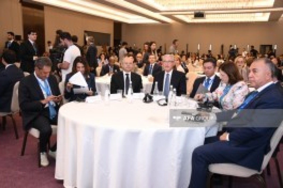 هفته چهارم اقلیمی کنوانسیون چارچوب سازمان ملل متحد درباره تغییرات اقلیمی در باکو برگزار می‌شود - تصاویر 