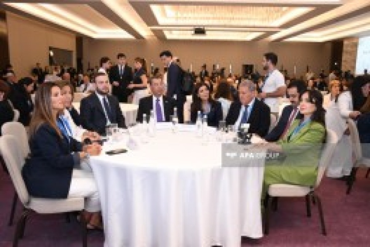 هفته چهارم اقلیمی کنوانسیون چارچوب سازمان ملل متحد درباره تغییرات اقلیمی در باکو برگزار می‌شود - تصاویر 