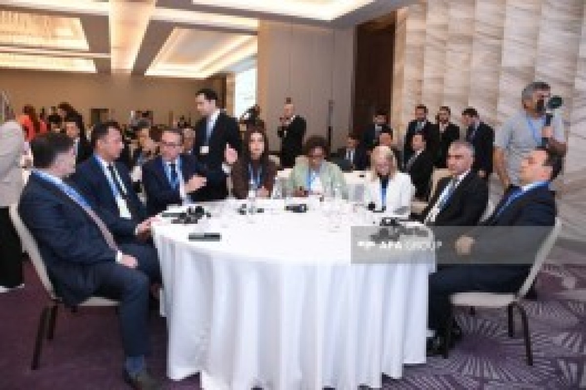هفته چهارم اقلیمی کنوانسیون چارچوب سازمان ملل متحد درباره تغییرات اقلیمی در باکو برگزار می‌شود - تصاویر 