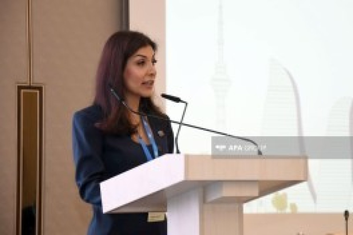 هفته چهارم اقلیمی کنوانسیون چارچوب سازمان ملل متحد درباره تغییرات اقلیمی در باکو برگزار می‌شود - تصاویر 